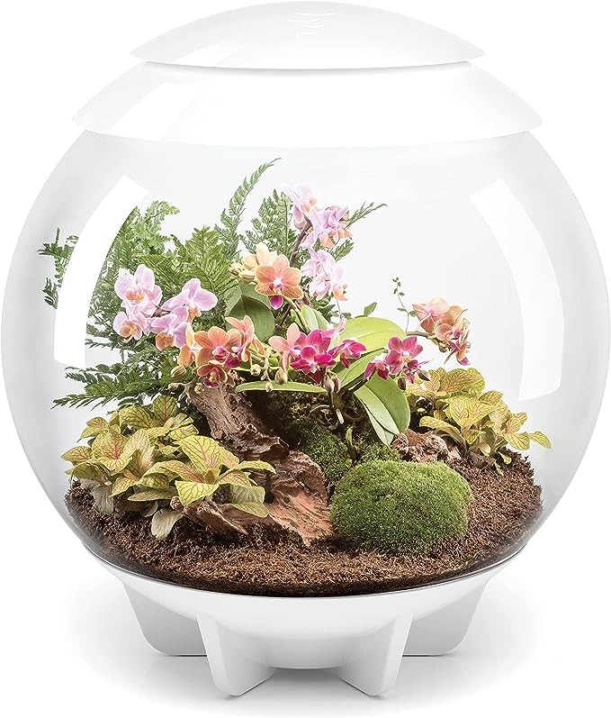 biOrb AIR 60 LED Terrarium - 16 gallon, white (46147)